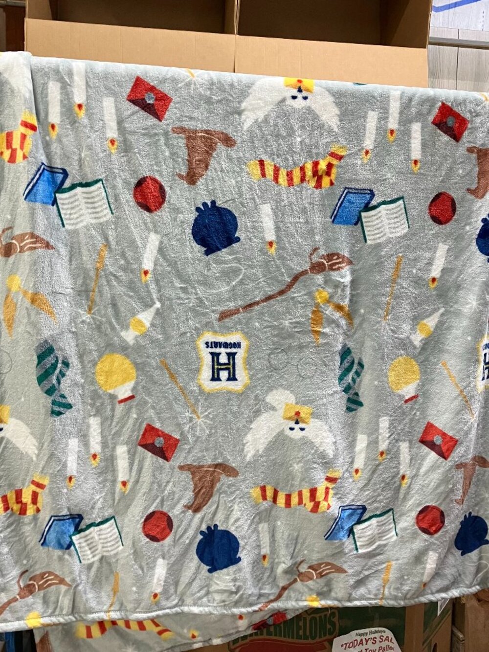 Harry Potter Throw Blanket 60 x 95 in Gray Hogwarts Wizarding World Soft Plush